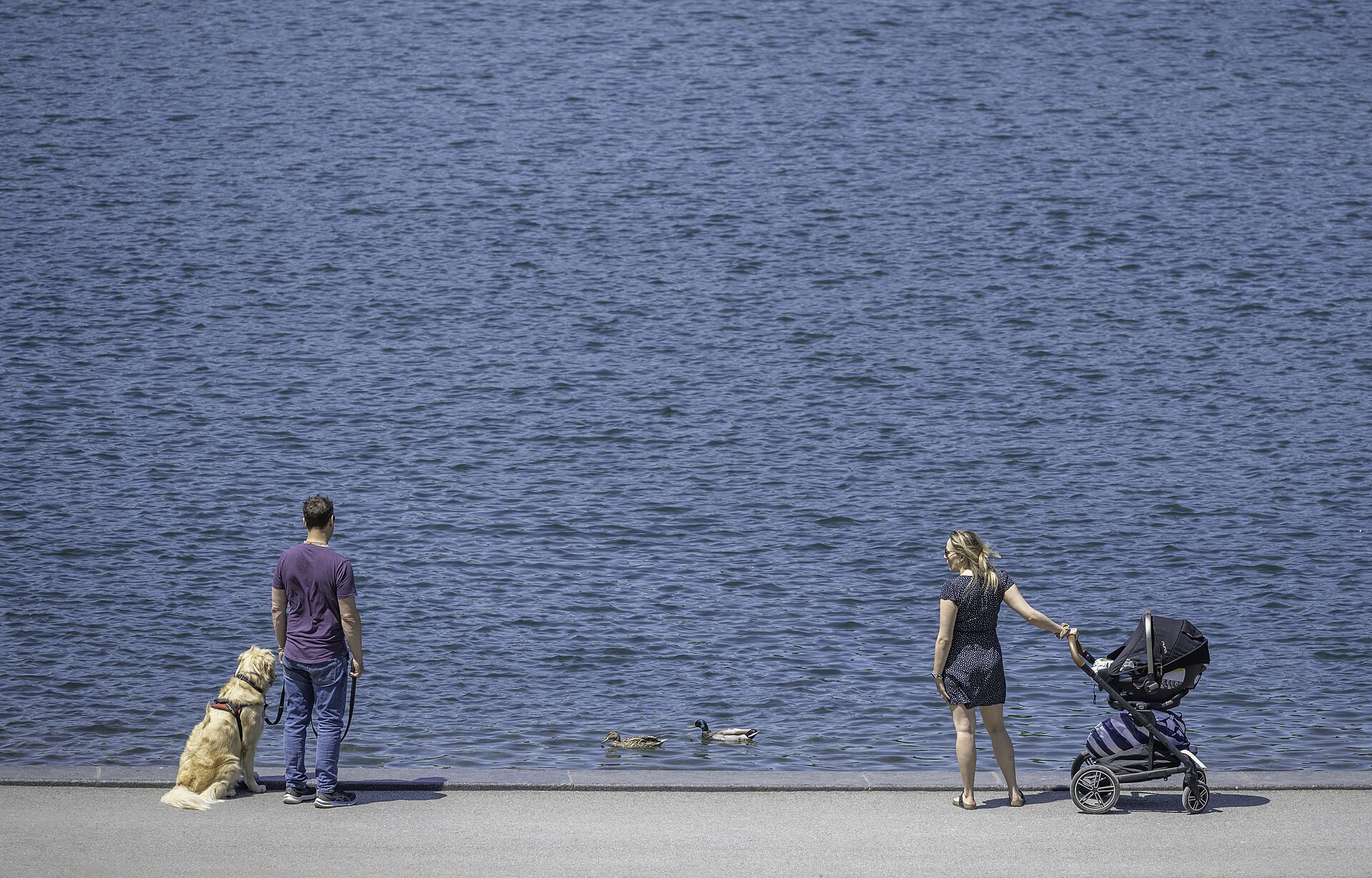 Familles et visiteurs se détendant près de l’eau au parc La Fontaine à Montréal